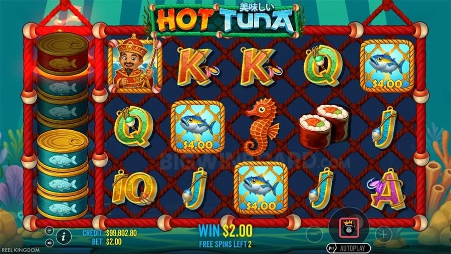 FAQ about 22bet promo code no deposit
